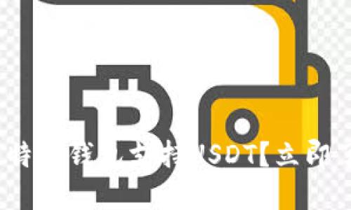 2025必看：哪些比特币钱包支持USDT？立即了解你的投资选择！