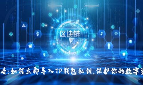 2025必看：如何立即导入TP钱包私钥，保护你的数字资产安全