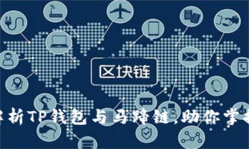 2025必看：深入解析TP钱包与马蹄链，助你掌握数字资产新风潮
