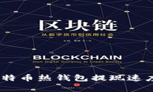 2025必看：比特币热钱包提现速度究竟有多快？