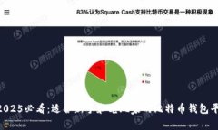 ziaoti2025必看：适合新手和