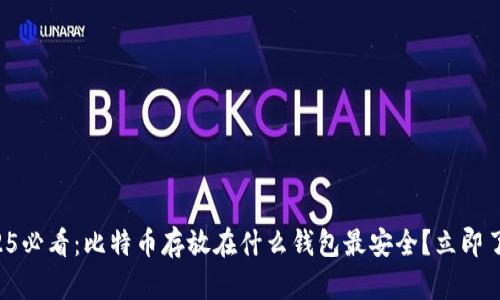 2025必看：比特币存放在什么钱包最安全？立即了解！