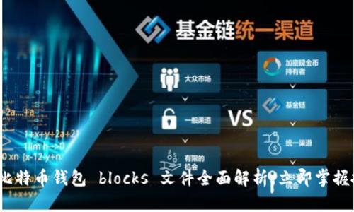 2025必看：比特币钱包 blocks 文件全面解析，立即掌握投资新机遇！