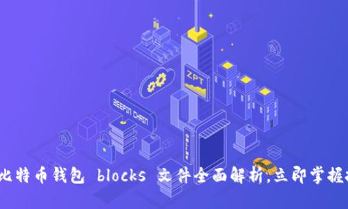 2025必看：比特币钱包 blocks 文件全面解析，立即掌握投资新机遇！