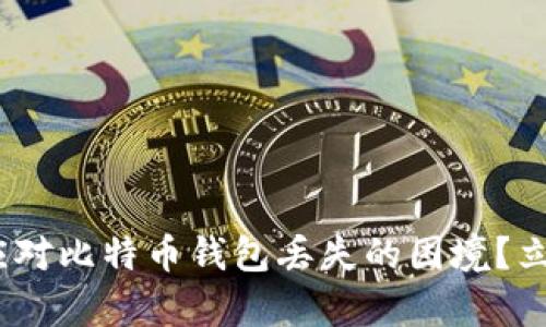 2025必看：如何应对比特币钱包丢失的困境？立即掌握恢复技巧！