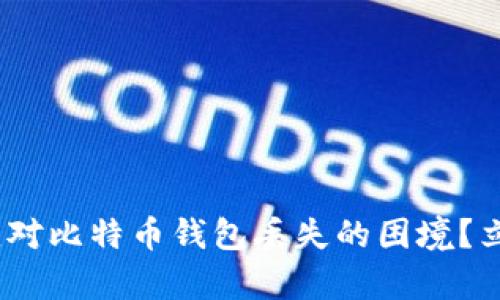 2025必看：如何应对比特币钱包丢失的困境？立即掌握恢复技巧！