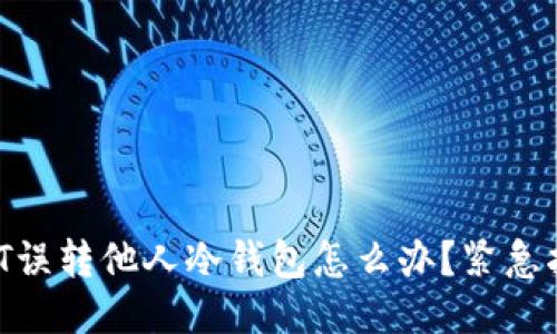 USDT误转他人冷钱包怎么办？紧急指南！