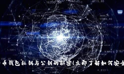 2025必看：揭秘比特币钱包私钥与公钥的秘密！立即了解如何安全管理你的加密资产！