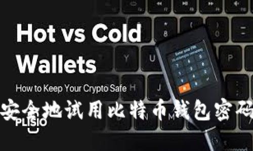 2025必看：如何安全地试用比特币钱包密码？立即掌握技巧！