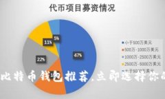 2025必看：十大靠谱比特币钱包推荐，立即选择你