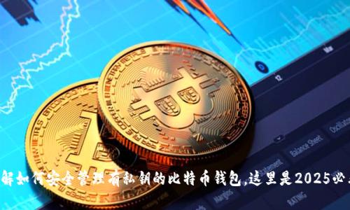 立即了解如何安全管理有私钥的比特币钱包，这里是2025必看指南！