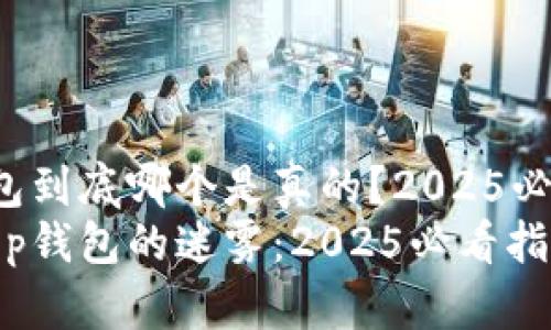 t p钱包到底哪个是真的？2025必看指南
揭开t p钱包的迷雾：2025必看指南