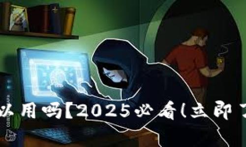 t p钱包在国外可以用吗？2025必看！立即了解你的支付选择！
