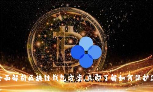 2025必看：全面解析区块链钱包方案，立即了解如何保护您的数字资产