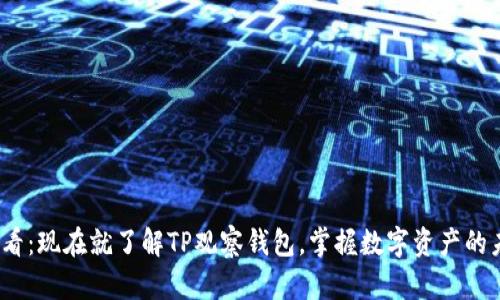 2025必看：现在就了解TP观察钱包，掌握数字资产的未来趋势