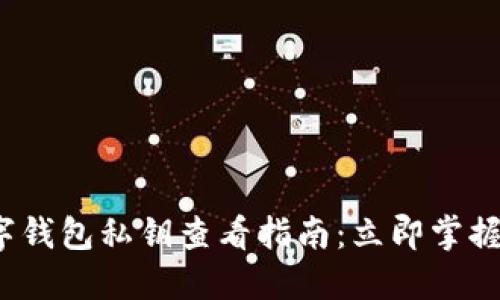 2023年TP数字钱包私钥查看指南：立即掌握安全管理技巧