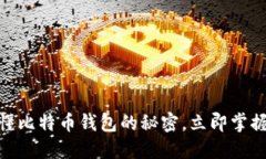 2025必看：深入看懂比特币钱包的秘密，立即掌握