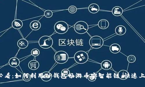 2025必看：如何利用TP钱包畅游币安智能链，快速上手指南