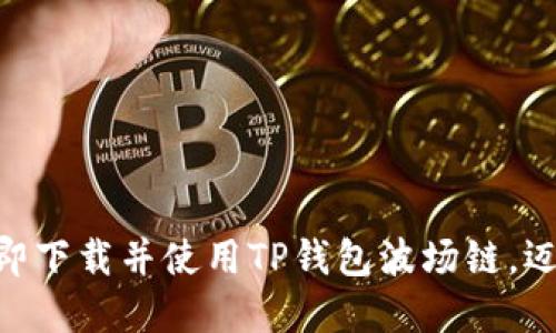 2025必看：如何立即下载并使用TP钱包波场链，迈入数字货币新时代