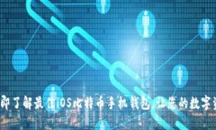 2025必看：立即了解最佳