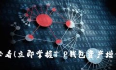 2025必看！立即掌握T P钱包