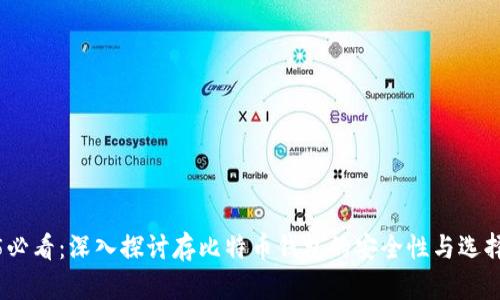2025必看：深入探讨存比特币钱包的安全性与选择策略