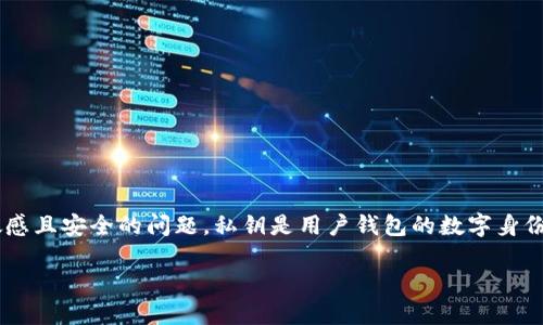 在讨论如何查看TP钱包的私钥之前，有几点需要提前说明。这是一个高度敏感且安全的问题。私钥是用户钱包的数字身份，它允许用户对其加密货币进行完全控制。因此，保护私钥的安全至关重要。

### 立即查看TP钱包私钥的方法，确保你的资产安全!