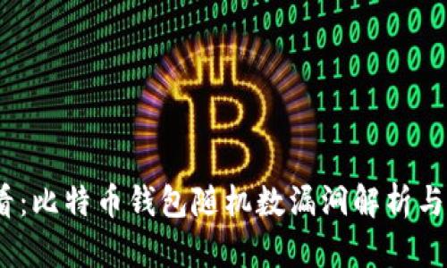 2025必看：比特币钱包随机数漏洞解析与防范措施