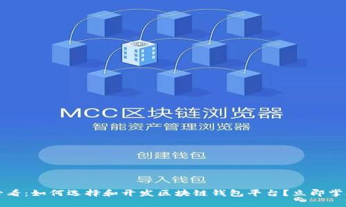 2025必看：如何选择和开发区块链钱包平台？立即掌握技巧！