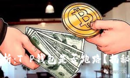 br
2023年最新解析：T P钱包是否跑路？揭秘安全性与风险！
