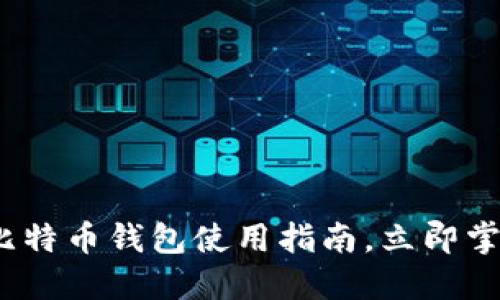 2025年必看：大陆比特币钱包使用指南，立即掌握比特币交易技巧！