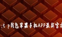 2025必看：t p钱包苹果手机