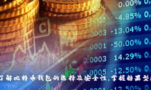 【2025必看】立即了解比特币钱包的选择及安全性，掌握糖果型数字资产投资趋势