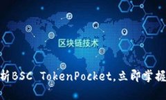 2025必看：全方位解析BSC
