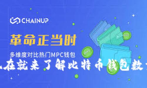 2025必看：现在就来了解比特币钱包数量的变化趋势