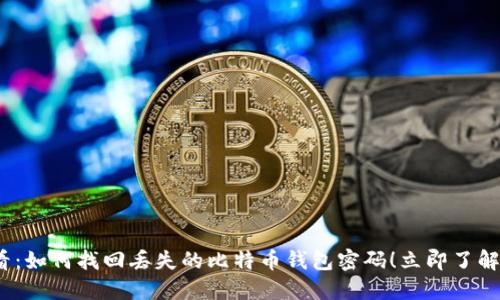 2025必看：如何找回丢失的比特币钱包密码！立即了解解决方案