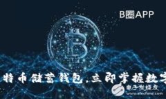 2025必看：空中比特币储蓄