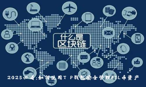 2025必看：如何使用T P钱包安全管理FIL币资产
