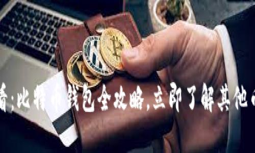 2025必看：比特币钱包全攻略，立即了解其他币种选择！