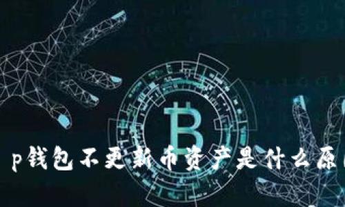 t p钱包不更新币资产是什么原因
