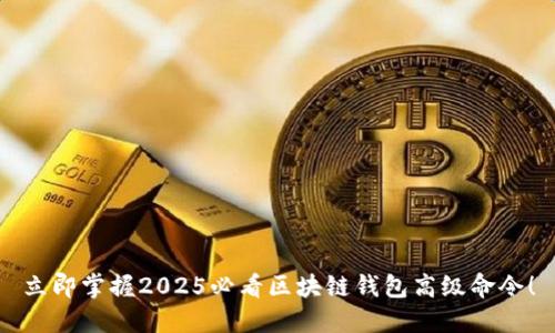 立即掌握2025必看区块链钱包高级命令！