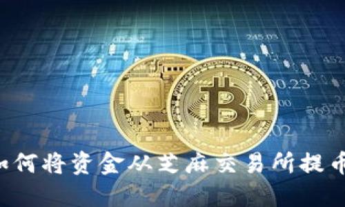 立即了解如何将资金从芝麻交易所提币到TP钱包！