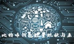 2025必看：比特币钱包数量