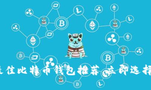 2025年必看：最佳比特币钱包推荐，立即选择适合你的钱包！