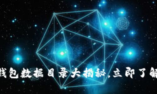 2025必看：以太坊钱包数据目录大揭秘，立即了解你的数字资产安全