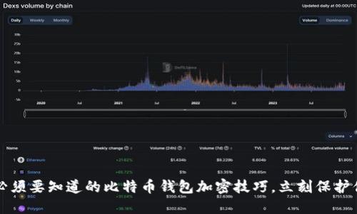 2023年必须要知道的比特币钱包加密技巧，立刻保护你的资产！
