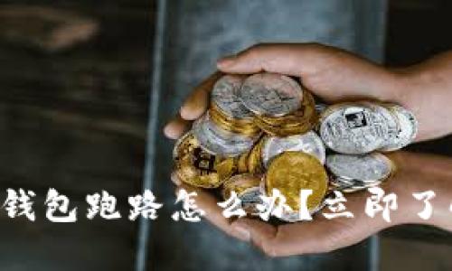 比特币私人钱包跑路怎么办？立即了解应对策略！