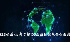 2025必看：立即了解iOS区块链钱包的全面指南