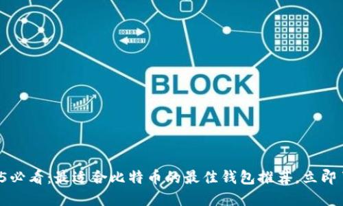 2025必看：最适合比特币的最佳钱包推荐，立即了解！