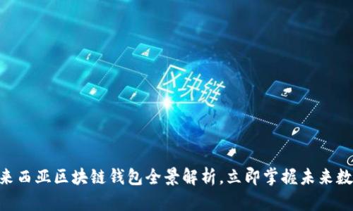 : 2025必看：马来西亚区块链钱包全景解析，立即掌握未来数字资产管理技巧